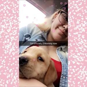 Meet your Posher, Ashleigh